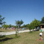DSC01375