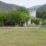 DSC00887