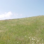 DSC00911